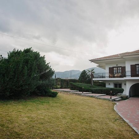 Villa Mythic House Leptokarya  Esterno foto