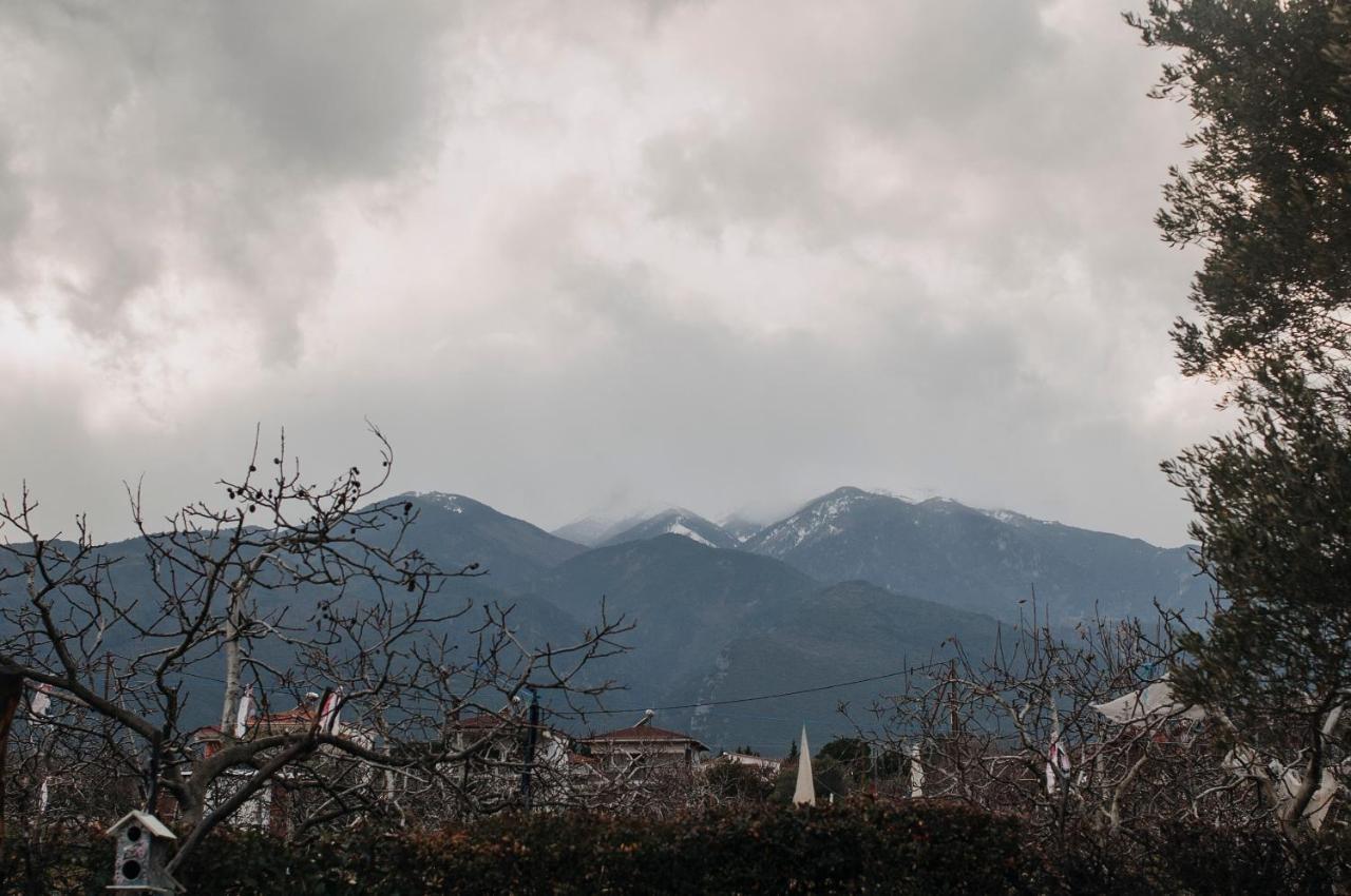 Villa Mythic House Leptokarya  Esterno foto