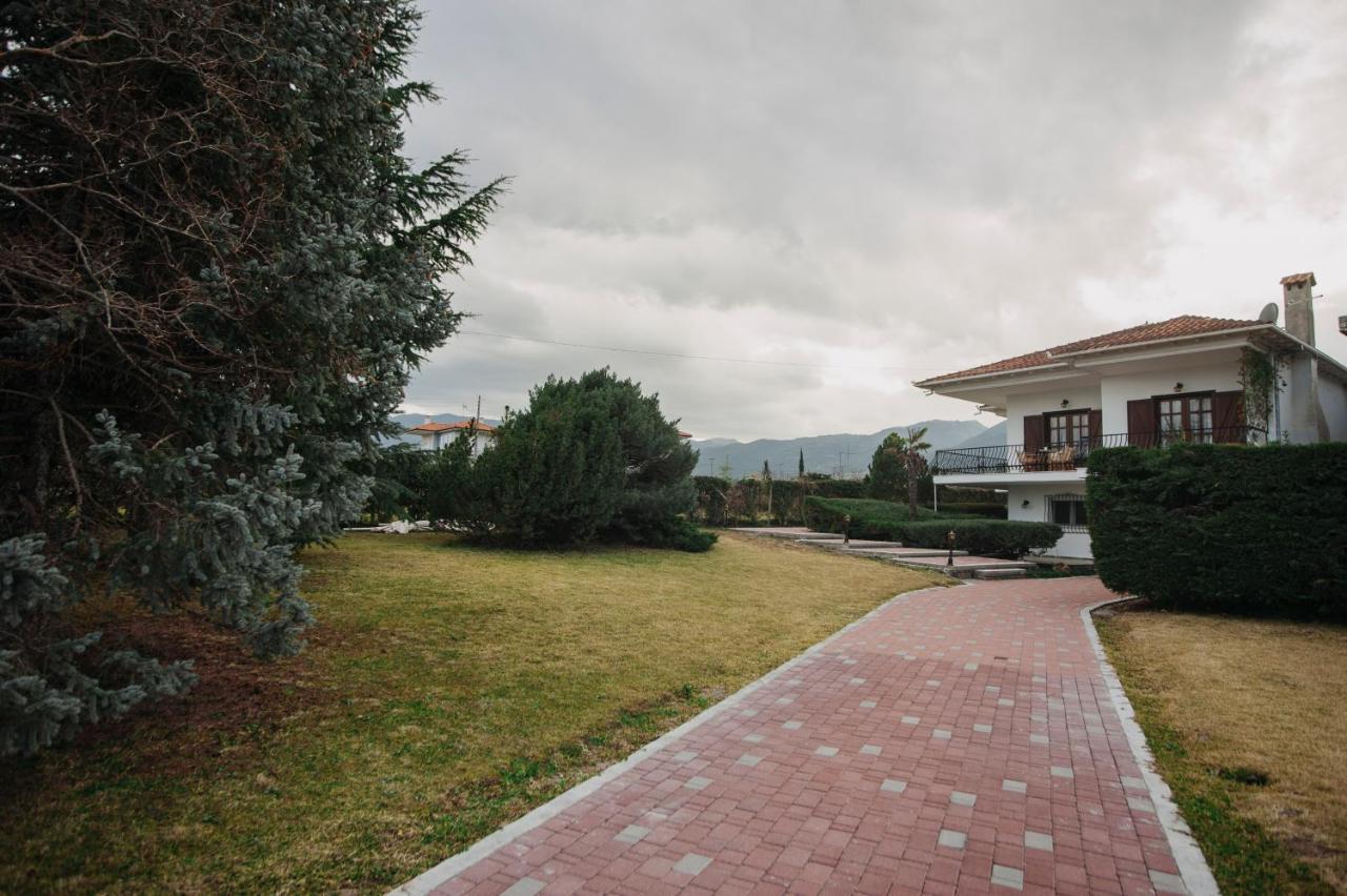 Villa Mythic House Leptokarya  Esterno foto